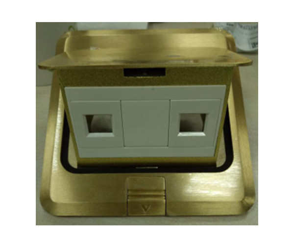 【雙口RJ45地（dì）插】清華同方ROTA綜合（hé）布線-雙口RJ45銅合金地麵插座(阻尼) (弱電)  HW120CP-D02