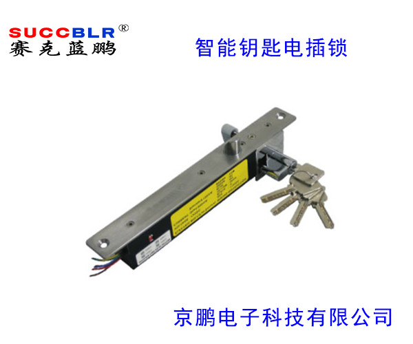 【智能鑰匙型（xíng）電插鎖】賽克藍鵬SUCCBLR智能鑰匙型電插鎖SL-S203DW